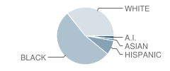 Spring Valley Center for Exploration School Student Race Distribution