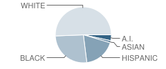 Discovery Alternative High School Student Race Distribution