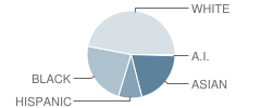 Explorer Elementary School Student Race Distribution