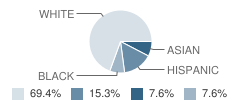 Southwood Elementary School Student Race Distribution