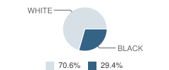 Dickinson Center School Student Race Distribution