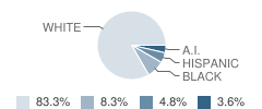 Volinia Outcome Base School Student Race Distribution