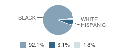 Ellen G. Loftis School Student Race Distribution