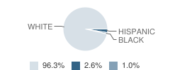 Napoleon Middle School Student Race Distribution