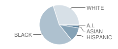 Kennedy Center School Student Race Distribution