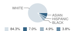 Moorsbridge Elementary School Student Race Distribution