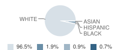 Quincy Middle School Student Race Distribution