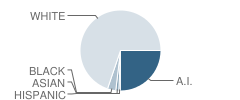 Rudyard Middle School Student Race Distribution