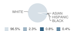 Schoolcraft Upper Elementary School Student Race Distribution