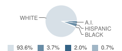 Long Lake Elementary School Student Race Distribution