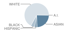 Leonard Elementary School Student Race Distribution