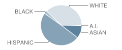 Glerum Elementary School Student Race Distribution