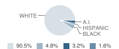 Resd Kinney School Student Race Distribution