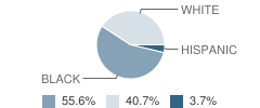 St. Vincent Home School Student Race Distribution