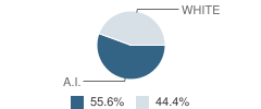 Bemidji Bylaw School Student Race Distribution