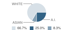 Belview Learning Center School Student Race Distribution