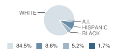 Early Childhood Special Education School Student Race Distribution