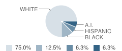 City West Academy Student Race Distribution