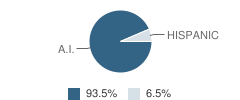 Tatanka Academy Student Race Distribution