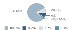 Minnesota Transitions Middle School Student Race Distribution