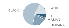 Minnesota Transitions Alp School Student Race Distribution