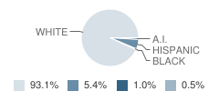 Southland Elementary School Student Race Distribution