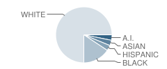 Bank School Student Race Distribution