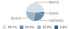 Early Childhood School Student Race Distribution