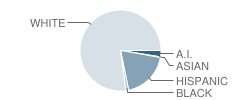 Highland Elementary School Student Race Distribution