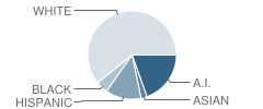 Detroit Lakes Alternative Program School Student Race Distribution