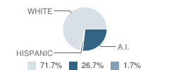 Detroit Lakes Middle Alc School Student Race Distribution