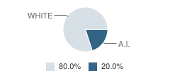 Miller-Dwan Adoc School Student Race Distribution