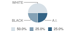 Wilderness Endeavors Program School Student Race Distribution