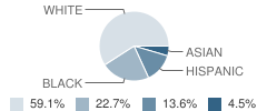 Cornerstone School Student Race Distribution