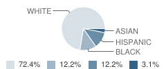 Central High Area Learning Center School Student Race Distribution