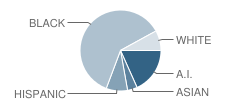 Sullivan Elementary School Student Race Distribution