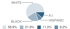 Mille Lacs Academy (Nexus) Student Race Distribution