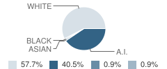 Onamia Elementary School Student Race Distribution