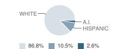 Pine City Area Learning Center School Student Race Distribution