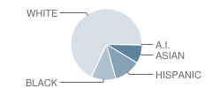 Willow Creek Middle School Student Race Distribution