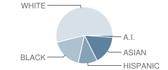 Glacier Hills Elementary School Student Race Distribution