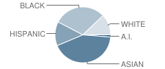 Hazel Park Middle School Academy Student Race Distribution