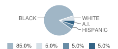 Pas East School Student Race Distribution