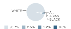 William Kelley Elementary School Student Race Distribution