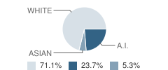 Border Area Learning Center School Student Race Distribution