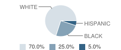 Wheeler Middle School Student Race Distribution