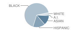 Della Lamb Elementary School Student Race Distribution