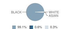 Hogan Preparatory Academy Student Race Distribution