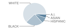 Freedom Elementary School Student Race Distribution