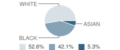 Montgomery City Treatment Center School Student Race Distribution